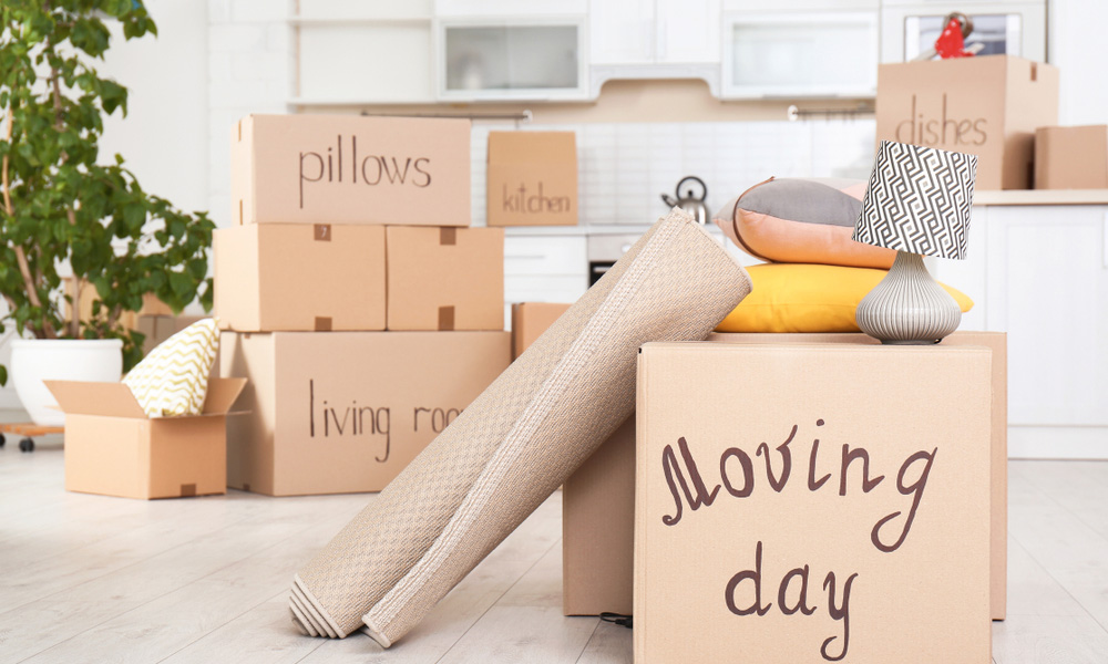 Why Hire a Furniture Removalist?